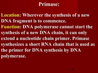 26
Location: Wherever the synthesis of a new
DNA fragment is to commence.
Function: DNA polymerase cannot start the
synthesis of a new DNA chain, it can only
extend a nucleotide chain primer. Primase
synthesizes a short RNA chain that is used as
the primer for DNA synthesis by DNA
polymerase.
Primase:
 
