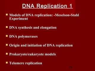 29
DNA Replication 1
 Models of DNA replication: -Meselson-Stahl
Experiment
 DNA synthesis and elongation
 DNA polymerases
 Origin and initiation of DNA replication
 Prokaryote/eukaryote models
 Telomere replication
 