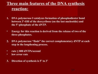 37
Three main features of the DNA synthesis
reaction:
1. DNA polymerase I catalyzes formation of phosphodiester bond
between 3’-OH of the deoxyribose (on the last nucleotide) and
the 5’-phosphate of the dNTP.
• Energy for this reaction is derived from the release of two of the
three phosphates.
2. DNA polymerase “finds” the correct complementary dNTP at each
step in the lengthening process.
• rate ≤ 800 dNTPs/second
• low error rate
3. Direction of synthesis is 5’ to 3’
 