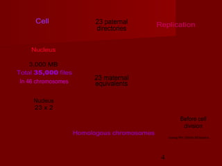 4
23 paternal
directories
23 maternal
equivalents
Total 35,000 files
Replication
Nucleus
23 x 2
In 46 chromosomes
Homologous chromosomes
Before cell
division
3,000 MB
Cell
Nucleus
Juang RH (2004) BCbasics
 