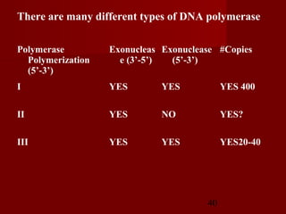 40
There are many different types of DNA polymerase
Polymerase
Polymerization
(5’-3’)
Exonucleas
e (3’-5’)
Exonuclease
(5’-3’)
#Copies
I YES YES YES 400
II YES NO YES?
III YES YES YES20-40
 