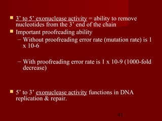 41
 3’ to 5’ exonuclease activity = ability to remove
nucleotides from the 3’ end of the chain
 Important proofreading ability
– Without proofreading error rate (mutation rate) is 1
x 10-6
– With proofreading error rate is 1 x 10-9 (1000-fold
decrease)
 5’ to 3’ exonuclease activity functions in DNA
replication & repair.
 