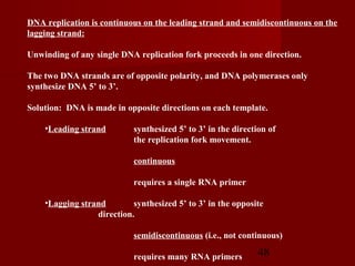 48
DNA replication is continuous on the leading strand and semidiscontinuous on the
lagging strand:
Unwinding of any single DNA replication fork proceeds in one direction.
The two DNA strands are of opposite polarity, and DNA polymerases only
synthesize DNA 5’ to 3’.
Solution: DNA is made in opposite directions on each template.
•Leading strand synthesized 5’ to 3’ in the direction of
the replication fork movement.
continuous
requires a single RNA primer
•Lagging strand synthesized 5’ to 3’ in the opposite
direction.
semidiscontinuous (i.e., not continuous)
requires many RNA primers
 
