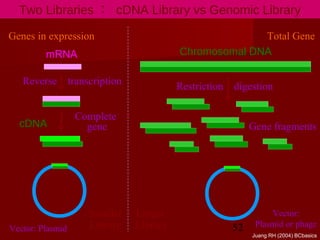 52
Two Libraries ： cDNA Library vs Genomic Library
mRNA
cDNA
Reverse transcription
Chromosomal DNA
Restriction digestion
Genes in expression Total Gene
Complete
gene Gene fragments
Smaller
Library
Larger
Library
Vector:
Plasmid or phage
Vector: Plasmid
Juang RH (2004) BCbasics
 