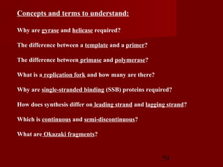 59
Concepts and terms to understand:
Why are gyrase and helicase required?
The difference between a template and a primer?
The difference between primase and polymerase?
What is a replication fork and how many are there?
Why are single-stranded binding (SSB) proteins required?
How does synthesis differ on leading strand and lagging strand?
Which is continuous and semi-discontinuous?
What are Okazaki fragments?
 
