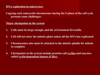 62
DNA replication in eukaryotes:
Copying each eukaryotic chromosome during the S phase of the cell cycle
presents some challenges:
Major checkpoints in the system
1. Cells must be large enough, and the environment favorable.
2. Cell will not enter the mitotic phase unless all the DNA has replicated.
3. Chromosomes also must be attached to the mitotic spindle for mitosis
to complete.
4. Checkpoints in the system include proteins call cyclins and enzymes
called cyclin-dependent kinases (Cdks).
 