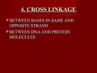 75
4. CROSS LINKAGE4. CROSS LINKAGE
 BETWEEN BASES IN SAME ANDBETWEEN BASES IN SAME AND
OPPOSITE STRANDOPPOSITE STRAND
 BETWEEN DNA AND PROTEINBETWEEN DNA AND PROTEIN
MOLECULESMOLECULES
 