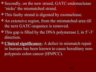 80
 Secondly, on the new strand, GATC-endonucleaseSecondly, on the new strand, GATC-endonuclease
‘nicks’ the mismatched strand.‘nicks’ the mismatched strand.
 This faulty strand is digested by exonuclease.This faulty strand is digested by exonuclease.
 An extensive region, from the mismatched area tillAn extensive region, from the mismatched area till
the next GATC-sequence is removed.the next GATC-sequence is removed.
 This gap is filled by the DNA polymerase I, in 5’-3’This gap is filled by the DNA polymerase I, in 5’-3’
direction.direction.
 Clinical significance-Clinical significance- A defect in mismatch repairA defect in mismatch repair
in humans has been known to cause hereditary non-in humans has been known to cause hereditary non-
polyposis colon cancer (HNPCC).polyposis colon cancer (HNPCC).
 