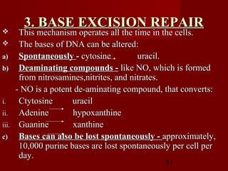 81
3. BASE EXCISION REPAIR3. BASE EXCISION REPAIR
 This mechanism operates all the time in the cells.This mechanism operates all the time in the cells.
 The bases of DNA can be altered:The bases of DNA can be altered:
a)a) SpontaneouslySpontaneously -- cytosine uracil.cytosine uracil.
b)b) Deaminating compounds -Deaminating compounds - like NO, which is formedlike NO, which is formed
from nitrosamines,nitrites, and nitrates.from nitrosamines,nitrites, and nitrates.
- NO is a potent de-aminating compound, that converts:- NO is a potent de-aminating compound, that converts:
i.i. Ctytosine uracilCtytosine uracil
ii.ii. Adenine hypoxanthineAdenine hypoxanthine
iii.iii. Guanine xanthineGuanine xanthine
c)c) Bases can also be lost spontaneously -Bases can also be lost spontaneously - approximately,approximately,
10,000 purine bases are lost spontaneously per cell per10,000 purine bases are lost spontaneously per cell per
day.day.
 