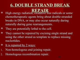86
6. DOUBLE STRAND BREAK6. DOUBLE STRAND BREAK
REPAIRREPAIR High energy radiation, oxidative free radicals or someHigh energy radiation, oxidative free radicals or some
chemotherapeutic agents bring about double-strandedchemotherapeutic agents bring about double-stranded
breaks in DNA, or may also occur naturally duringbreaks in DNA, or may also occur naturally during
naturally during gene rearrangements.naturally during gene rearrangements.
 They are potentially lethal to the cell.They are potentially lethal to the cell.
 They cannot be repaired by excising single strand andThey cannot be repaired by excising single strand and
using the other strand as template to replace missingusing the other strand as template to replace missing
nucleotides.nucleotides.
 It is repaired by 2 ways:It is repaired by 2 ways:
1.1. Non-homologous end-joining repair.Non-homologous end-joining repair.
2.2. Homologous recombination repair.Homologous recombination repair.
 