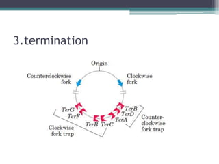 3.termination
 