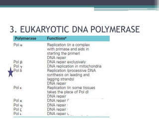 3. EUKARYOTIC DNA POLYMERASE
 