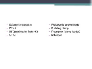 • Eukaryotic enzymes
• PCNA
• RFC(replication factor C)
• MCM
• Prokaryotic counterparts
• Β sliding clamp
• Γ complex (clamp loader)
• helicases
 