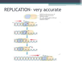 REPLICATION- very accurate
 