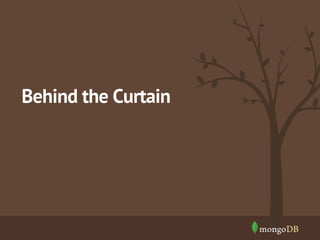 Behind the Curtain

 