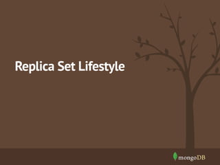 Replica Set Lifestyle

 