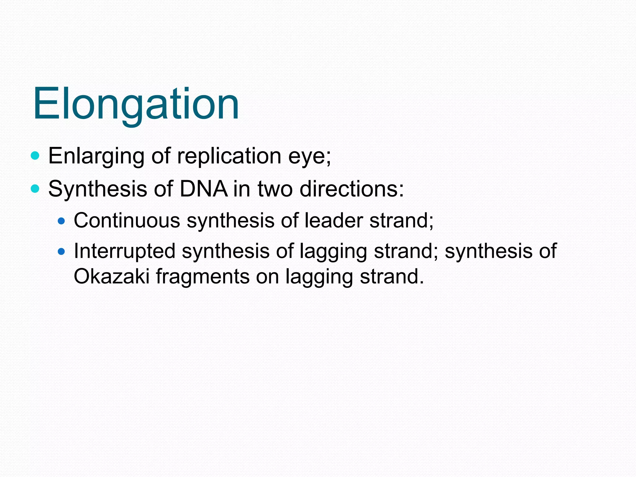 Elongation
 Enlarging of replication eye;
 Synthesis of DNA in two directions:
 Continuous synthesis of leader strand;
 Interrupted synthesis of lagging strand; synthesis of
Okazaki fragments on lagging strand.

 