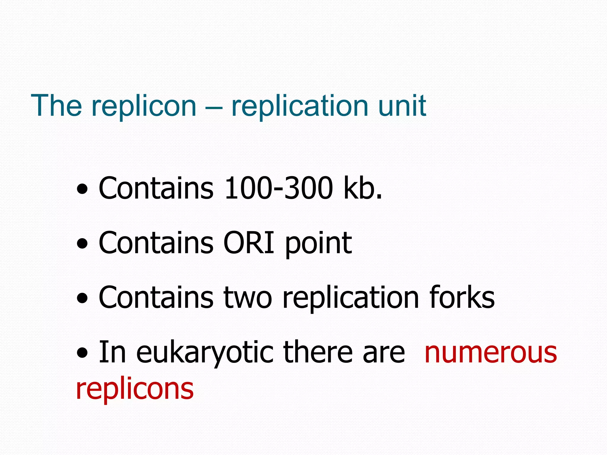 The replicon – replication unit
• Contains 100-300 kb.
• Contains ORI point
• Contains two replication forks
• In eukaryotic there are numerous
replicons

 