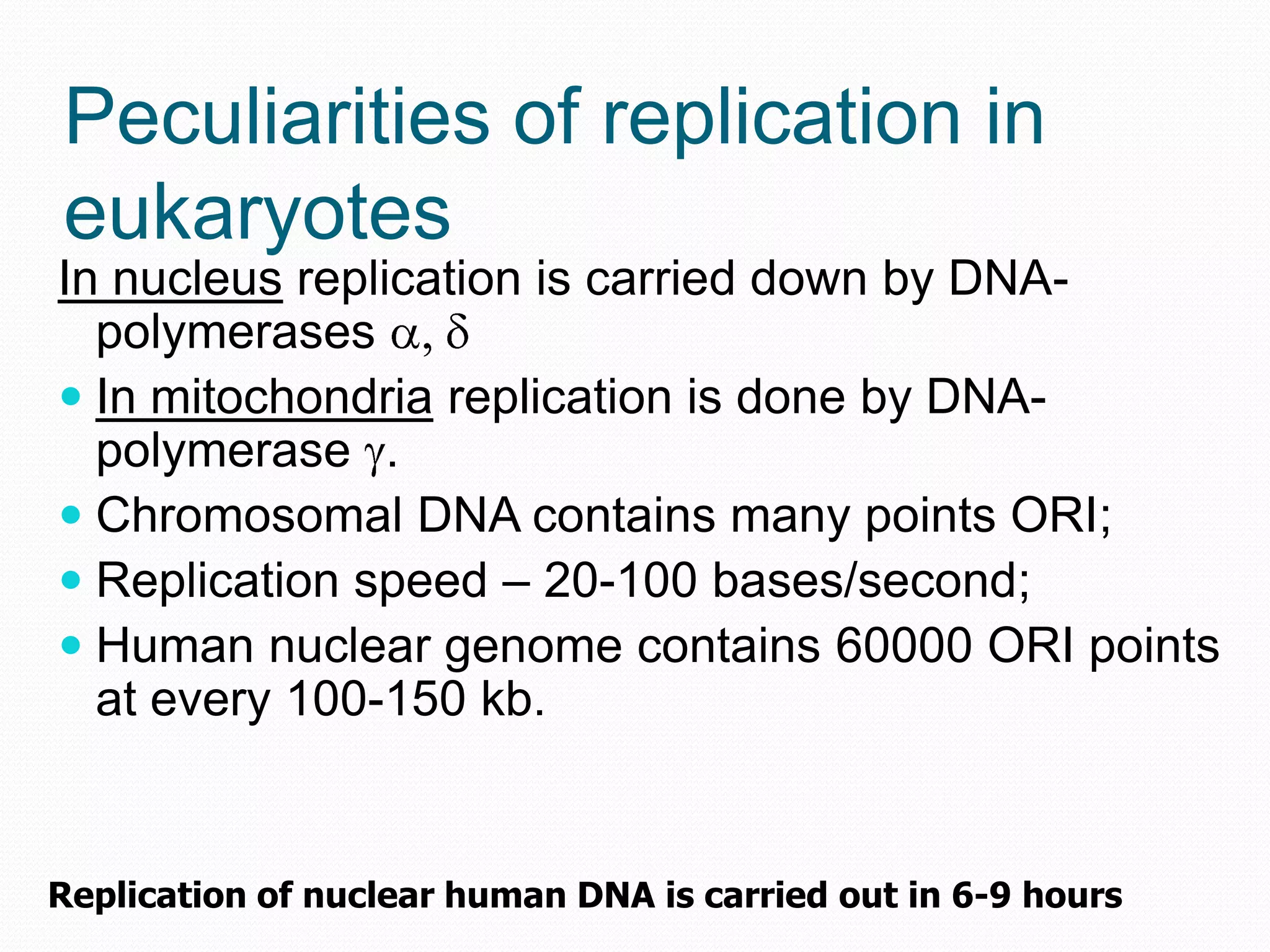 Peculiarities of replication in
eukaryotes
In nucleus replication is carried down by DNApolymerases
 In mitochondria replication is done by DNApolymerase .
 Chromosomal DNA contains many points ORI;
 Replication speed – 20-100 bases/second;
 Human nuclear genome contains 60000 ORI points
at every 100-150 kb.

Replication of nuclear human DNA is carried out in 6-9 hours

 