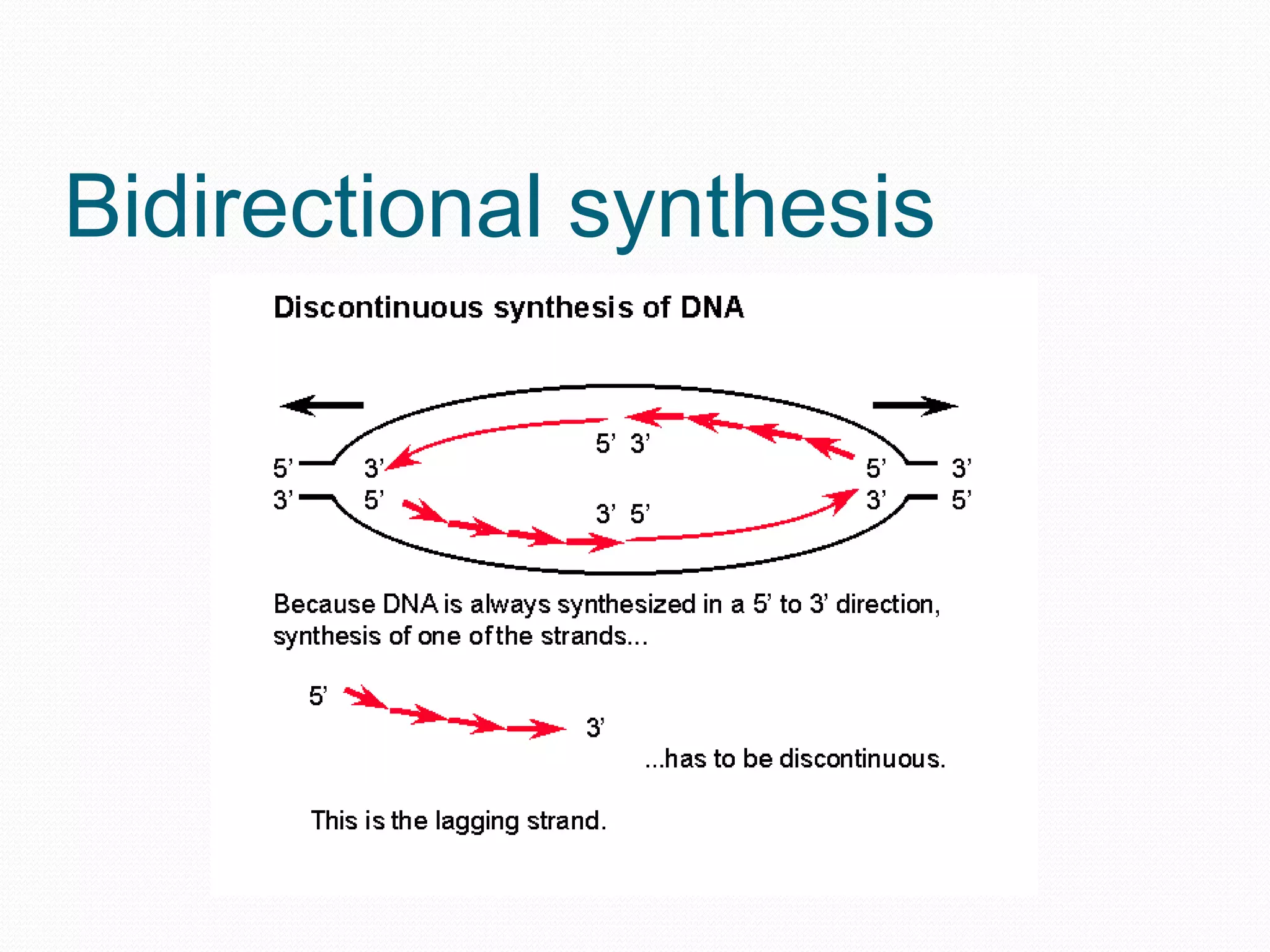 Bidirectional synthesis

 