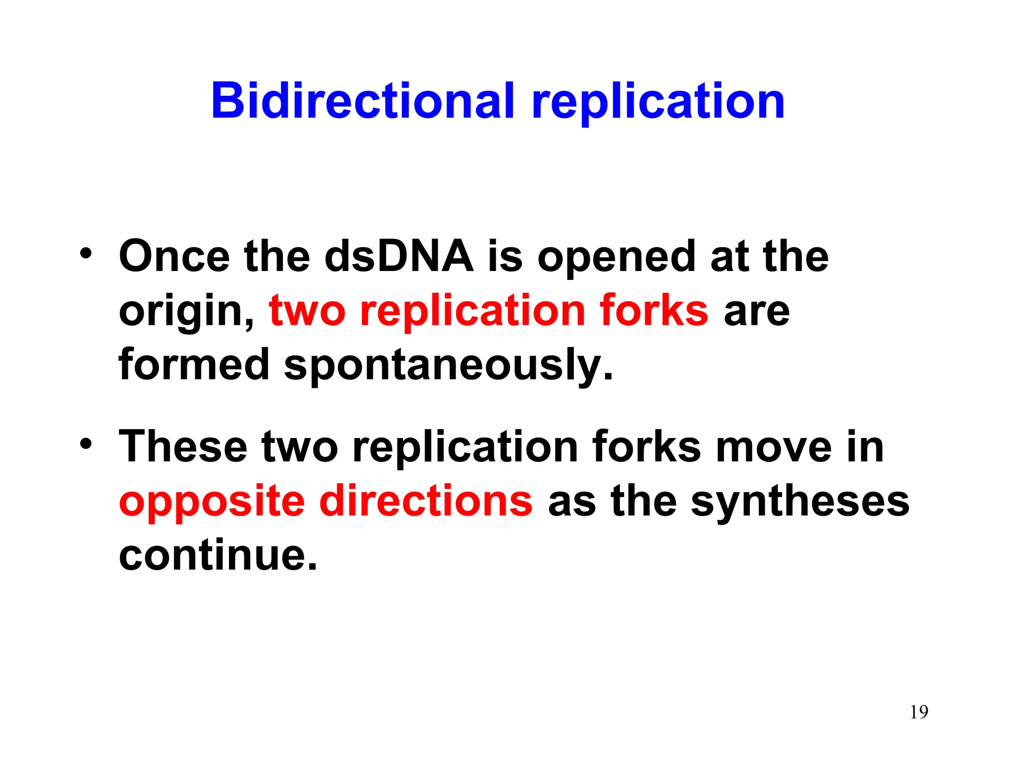 Bidirectional replication
• Once the dsDNA is opened at the
origin, two replication forks are
formed spontaneously.
• These two replication forks move in
opposite directions as the syntheses
continue.

19

 