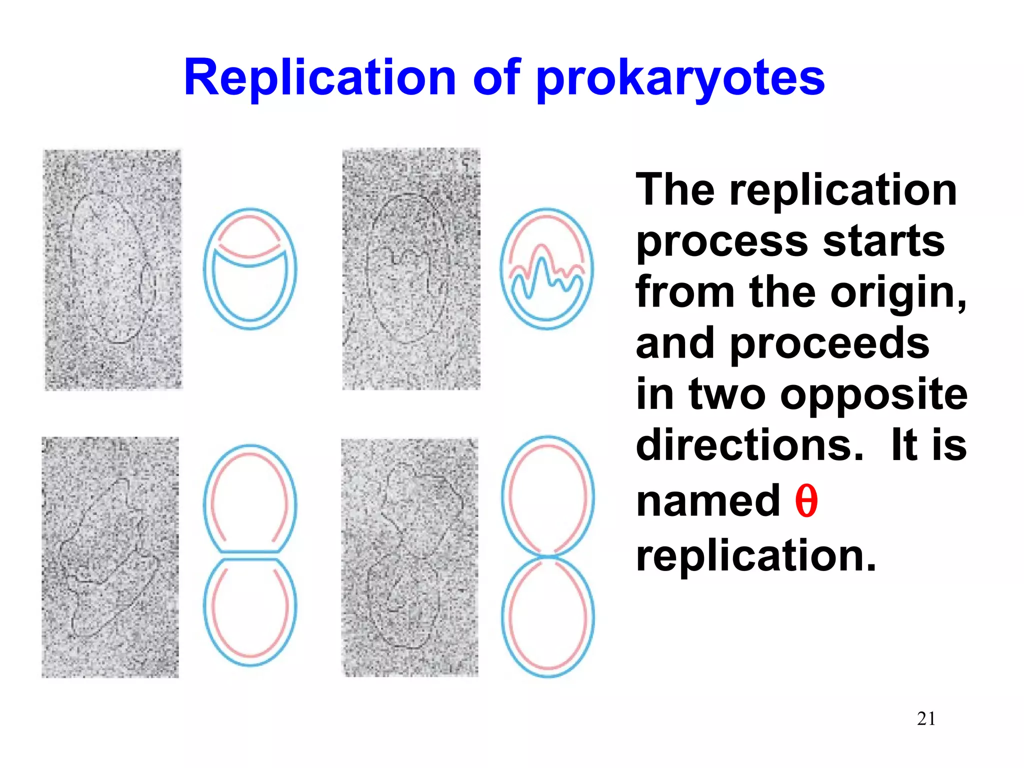 Replication of prokaryotes
The replication
process starts
from the origin,
and proceeds
in two opposite
directions. It is
named θ
replication.

21

 