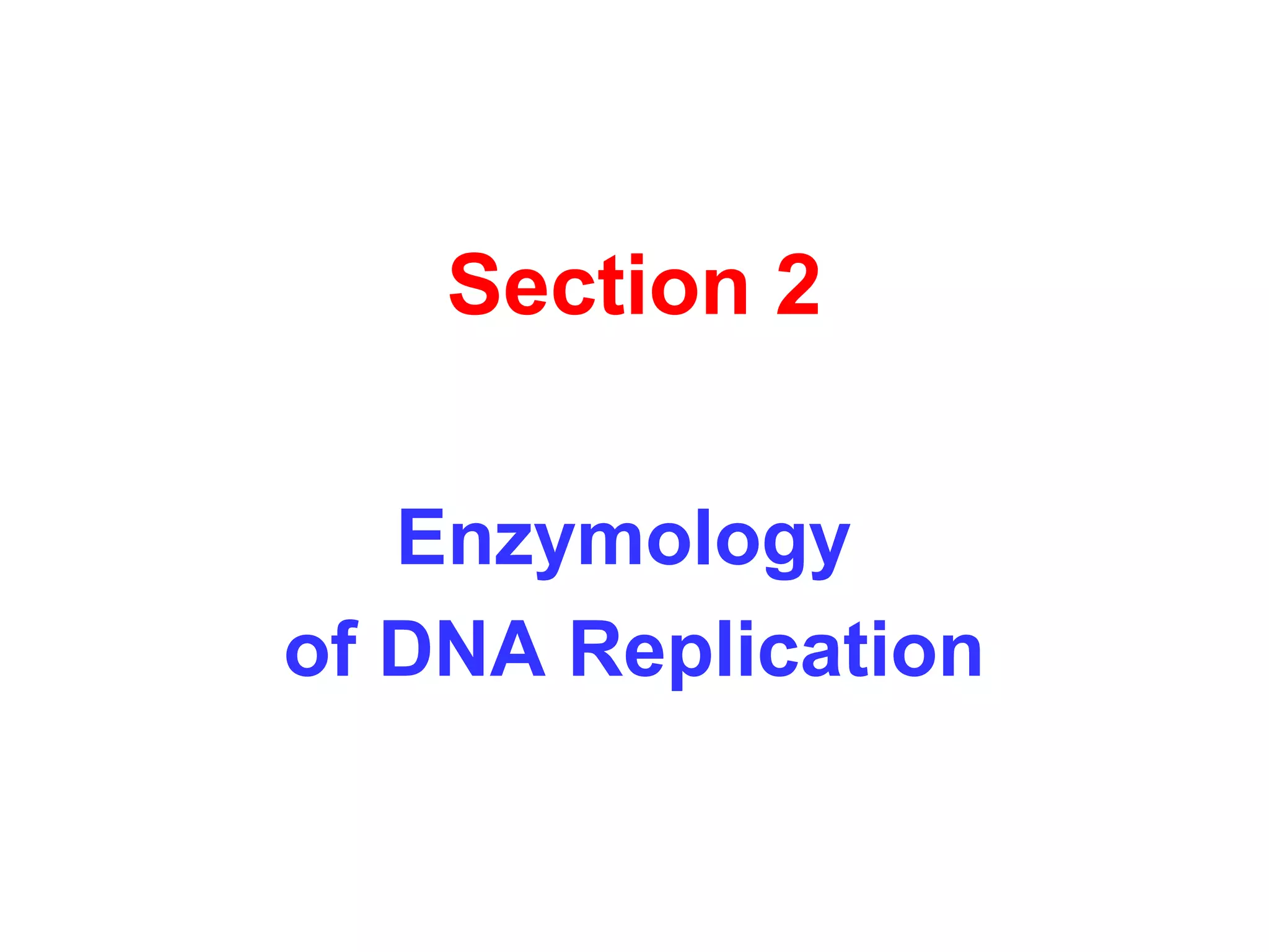 Section 2
Enzymology
of DNA Replication

 