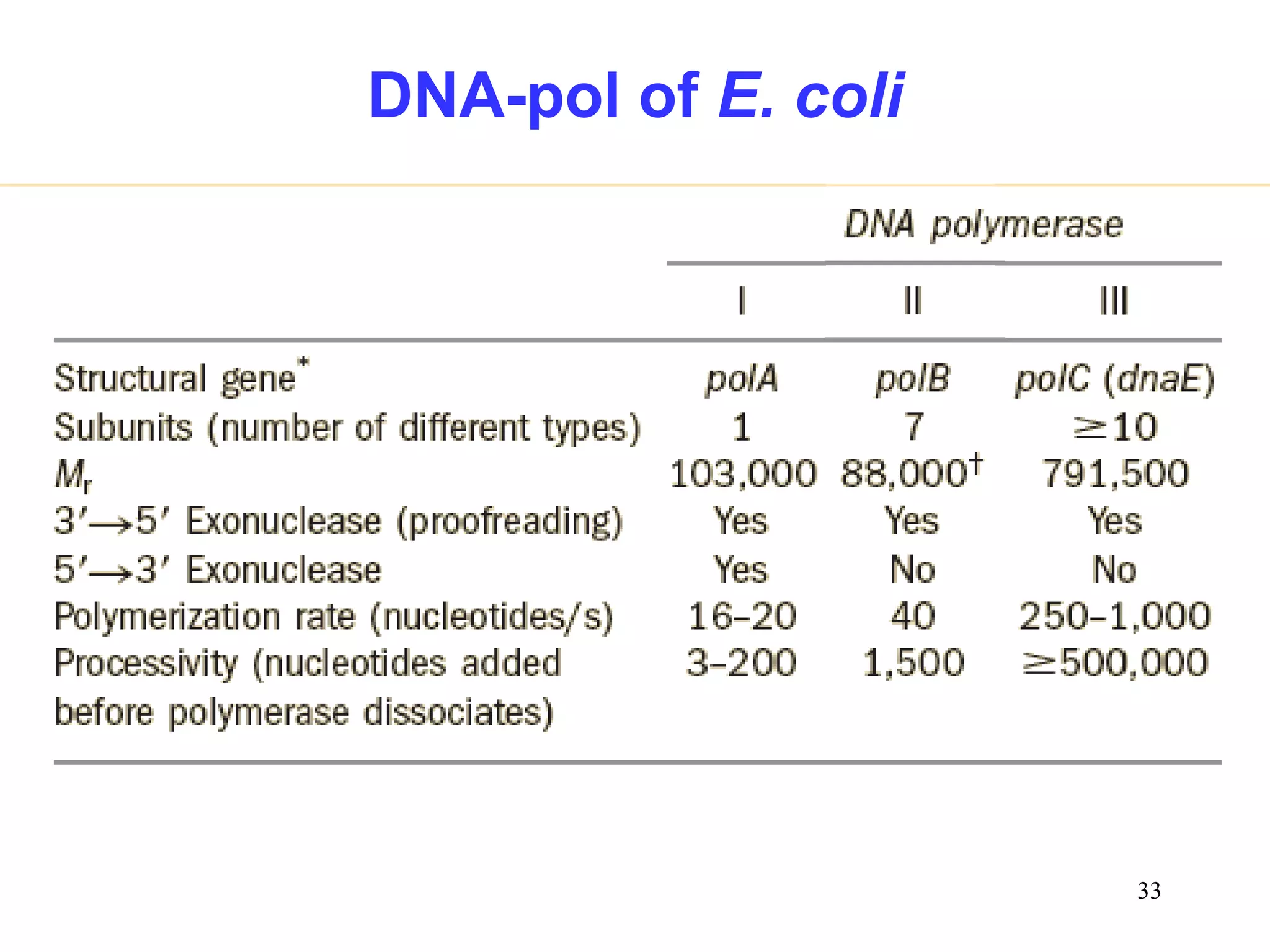 DNA-pol of E. coli

33

 