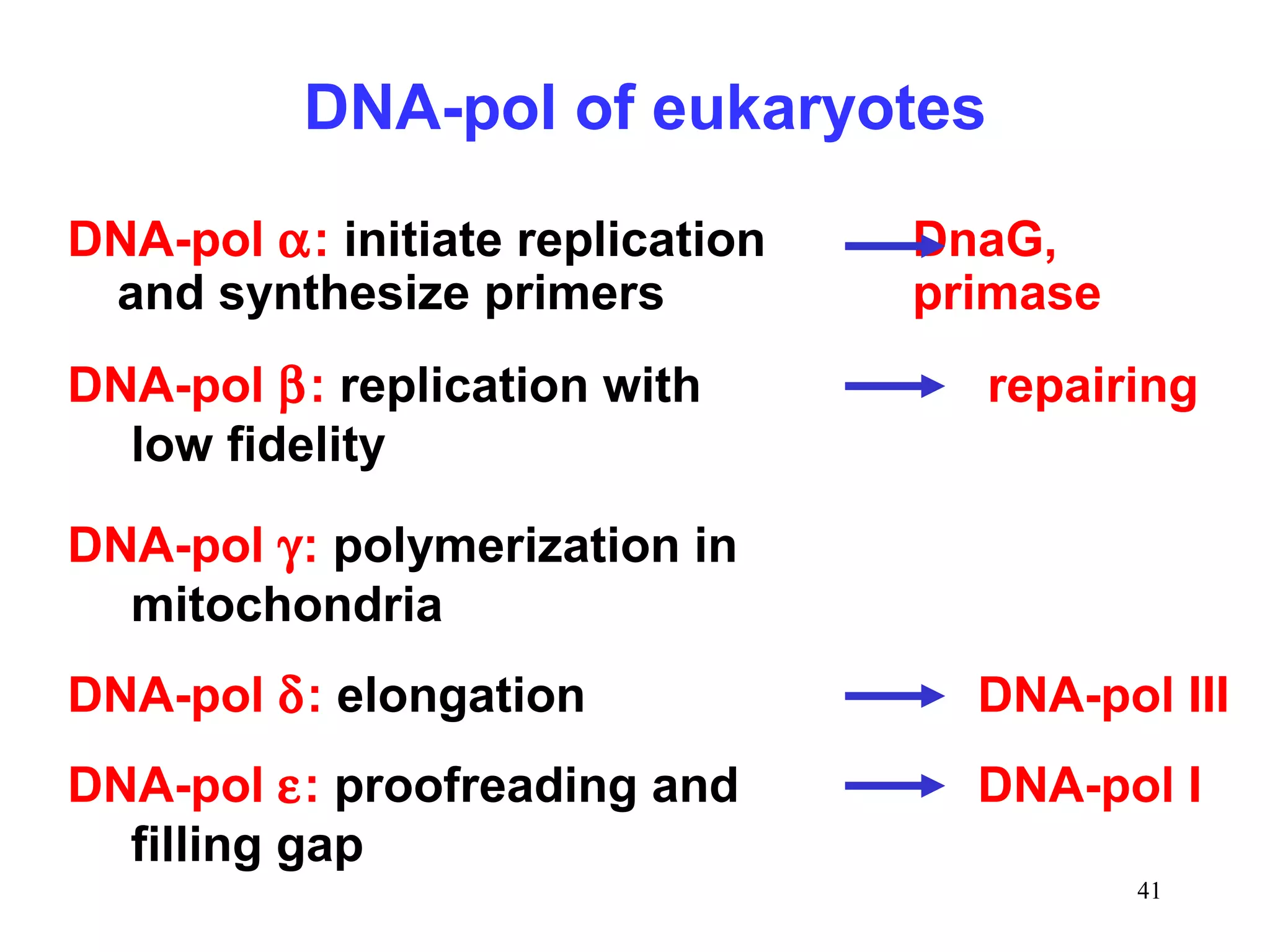 DNA-pol of eukaryotes
DNA-pol α: initiate replication
and synthesize primers
DNA-pol β: replication with
low fidelity

DnaG,
primase
repairing

DNA-pol γ: polymerization in
mitochondria
DNA-pol δ: elongation

DNA-pol III

DNA-pol ε: proofreading and
filling gap

DNA-pol I
41

 