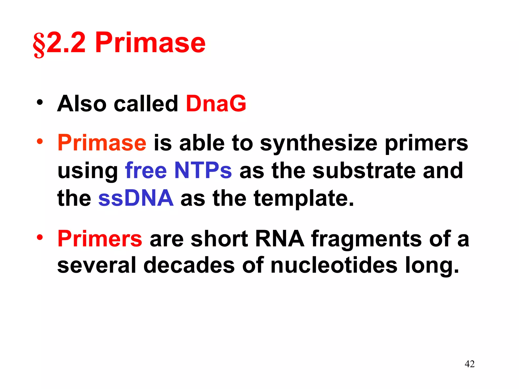 §2.2 Primase
• Also called DnaG
• Primase is able to synthesize primers
using free NTPs as the substrate and
the ssDNA as the template.
• Primers are short RNA fragments of a
several decades of nucleotides long.

42

 