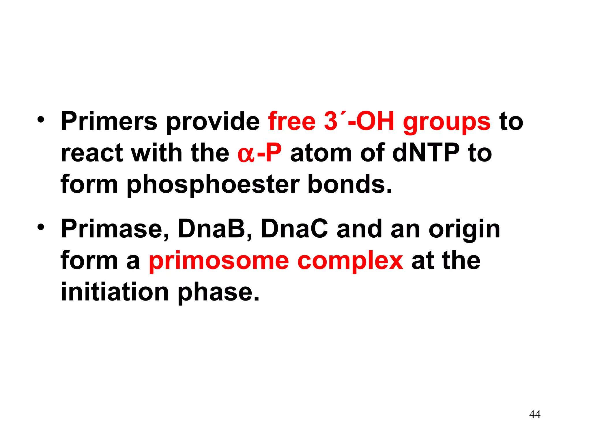 • Primers provide free 3´-OH groups to
react with the α-P atom of dNTP to
form phosphoester bonds.
• Primase, DnaB, DnaC and an origin
form a primosome complex at the
initiation phase.

44

 
