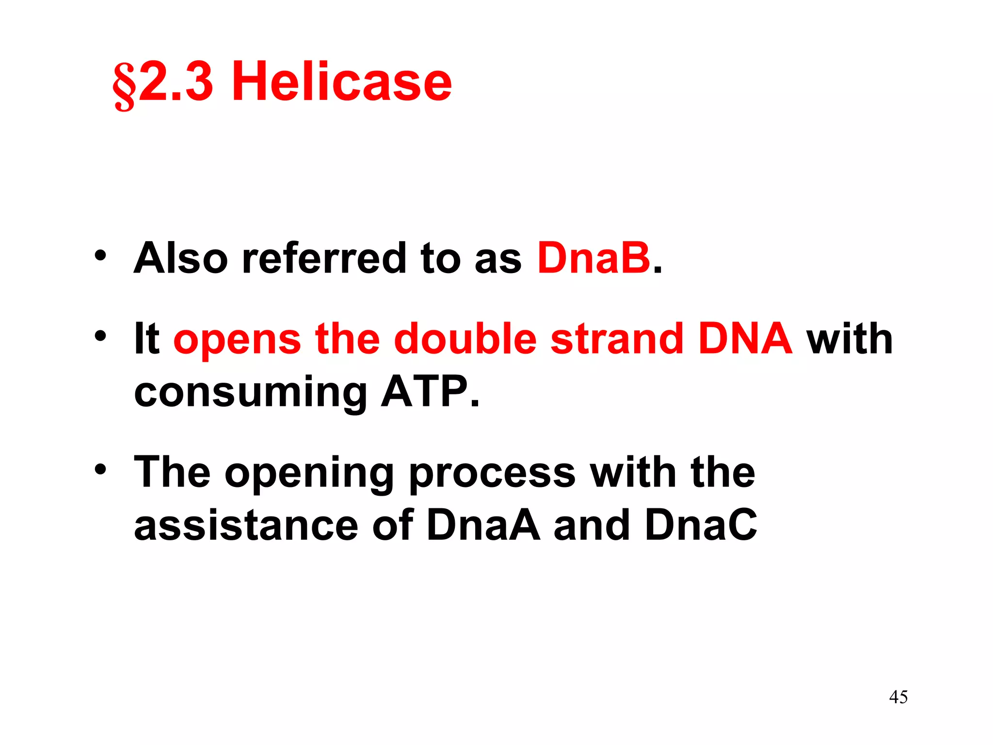 §2.3 Helicase
• Also referred to as DnaB.
• It opens the double strand DNA with
consuming ATP.
• The opening process with the
assistance of DnaA and DnaC

45

 