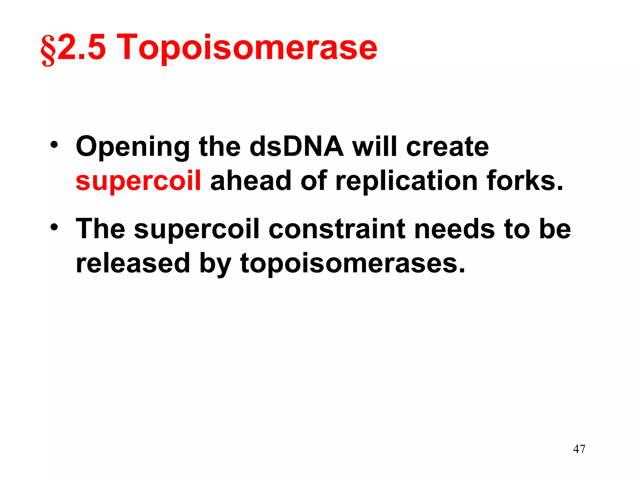 §2.5 Topoisomerase
• Opening the dsDNA will create
supercoil ahead of replication forks.
• The supercoil constraint needs to be
released by topoisomerases.

47

 