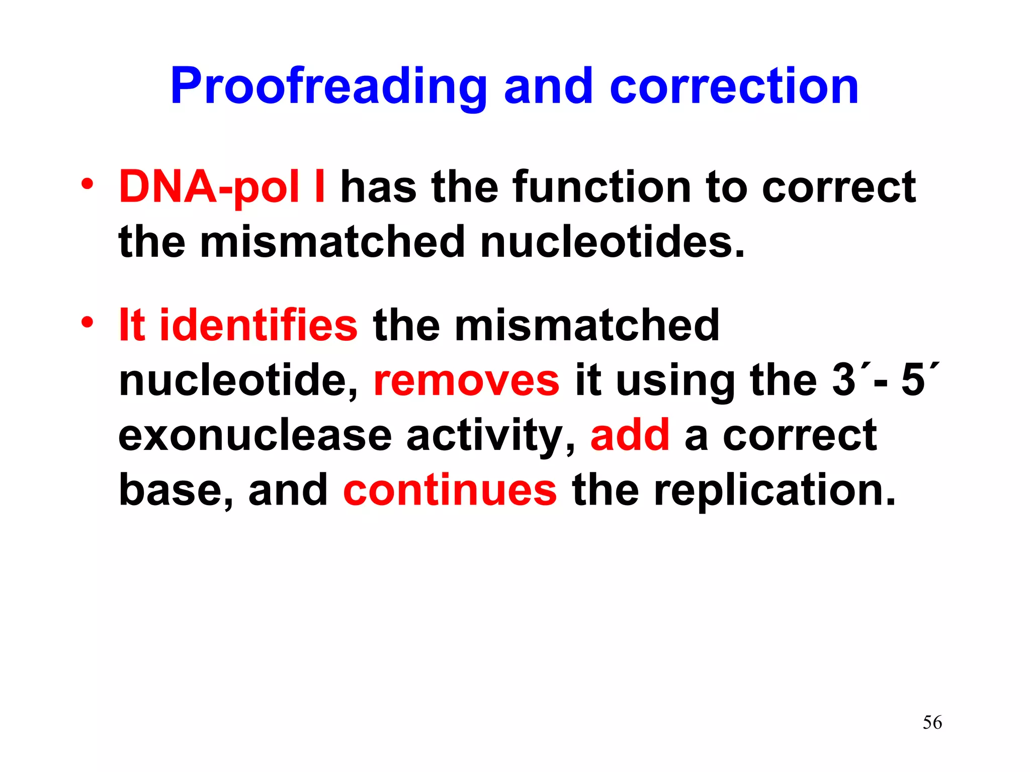 Proofreading and correction
• DNA-pol I has the function to correct
the mismatched nucleotides.
• It identifies the mismatched
nucleotide, removes it using the 3´- 5´
exonuclease activity, add a correct
base, and continues the replication.

56

 