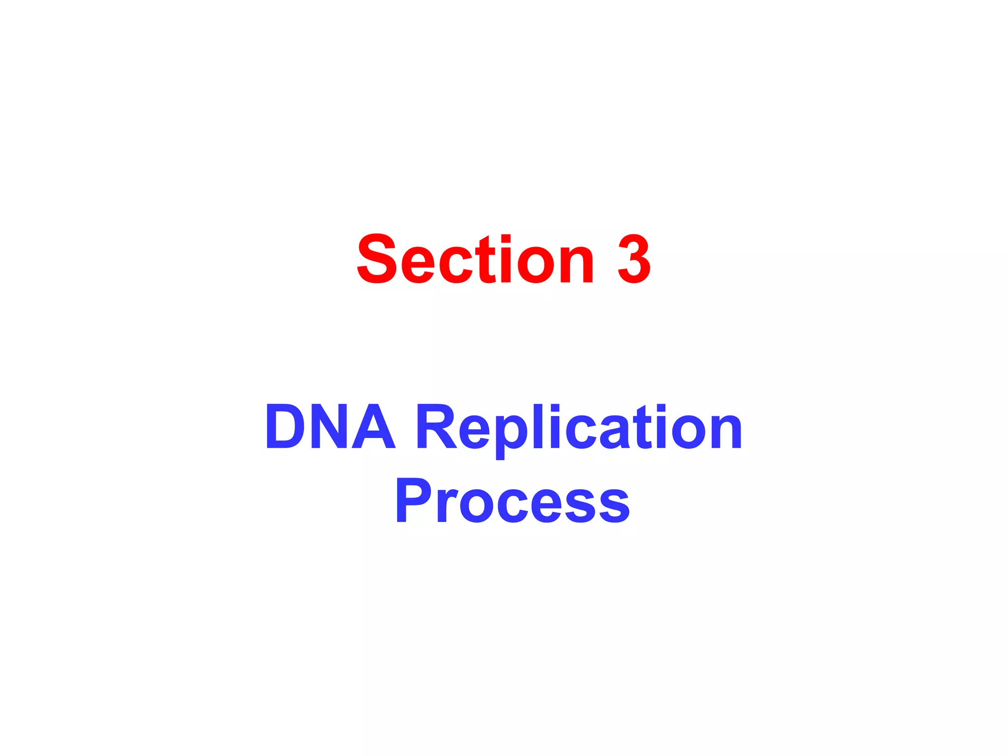 Section 3
DNA Replication
Process

 