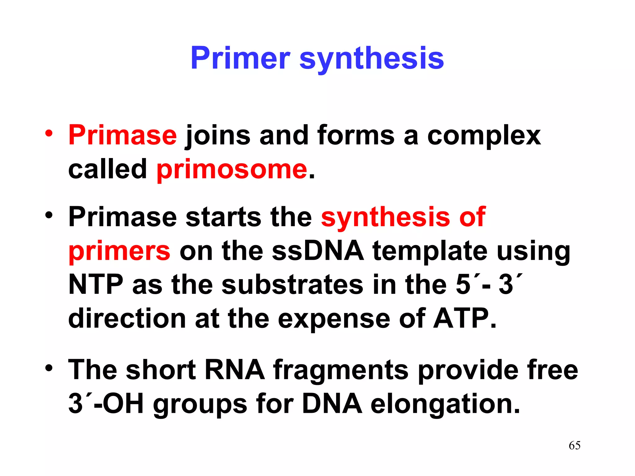 Primer synthesis
• Primase joins and forms a complex
called primosome.
• Primase starts the synthesis of
primers on the ssDNA template using
NTP as the substrates in the 5´- 3´
direction at the expense of ATP.
• The short RNA fragments provide free
3´-OH groups for DNA elongation.
65

 