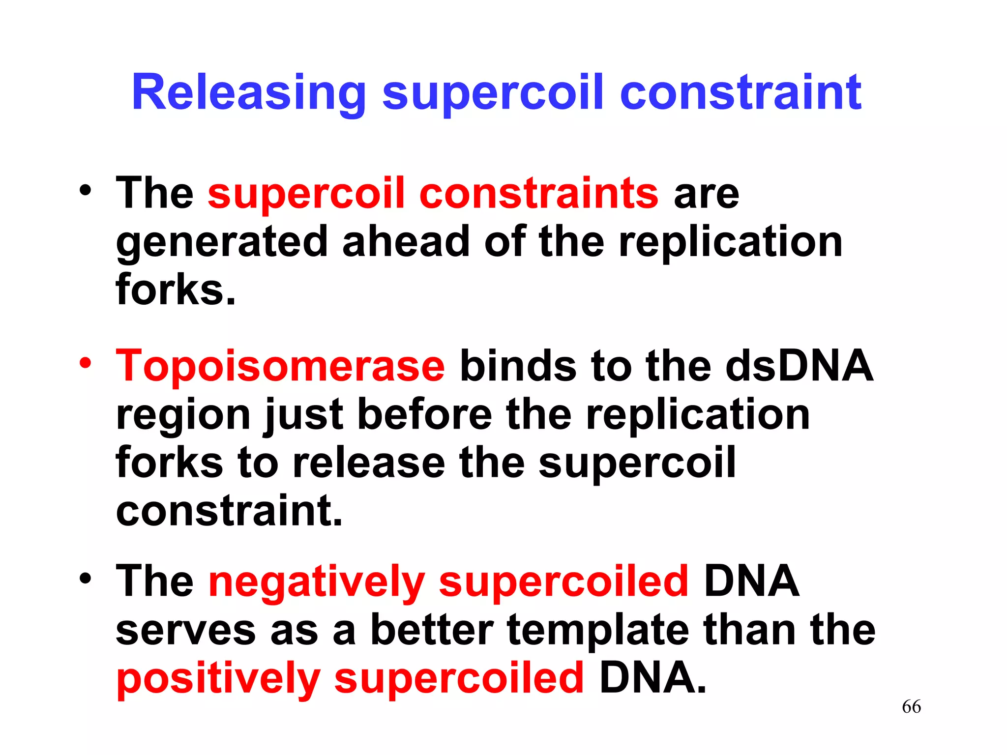Releasing supercoil constraint
• The supercoil constraints are
generated ahead of the replication
forks.
• Topoisomerase binds to the dsDNA
region just before the replication
forks to release the supercoil
constraint.
• The negatively supercoiled DNA
serves as a better template than the
positively supercoiled DNA.

66

 