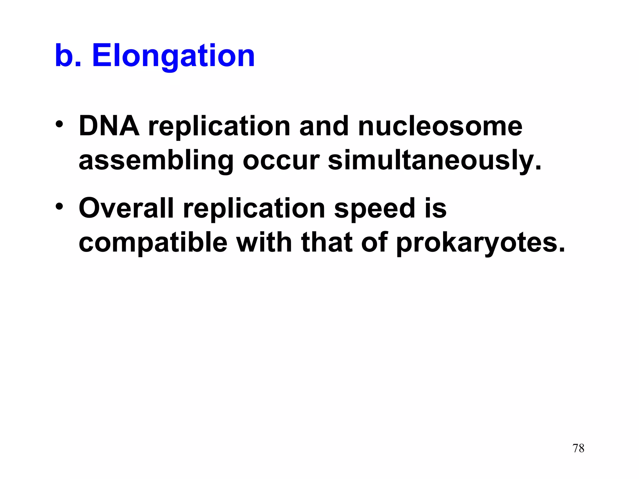 b. Elongation
• DNA replication and nucleosome
assembling occur simultaneously.
• Overall replication speed is
compatible with that of prokaryotes.

78

 