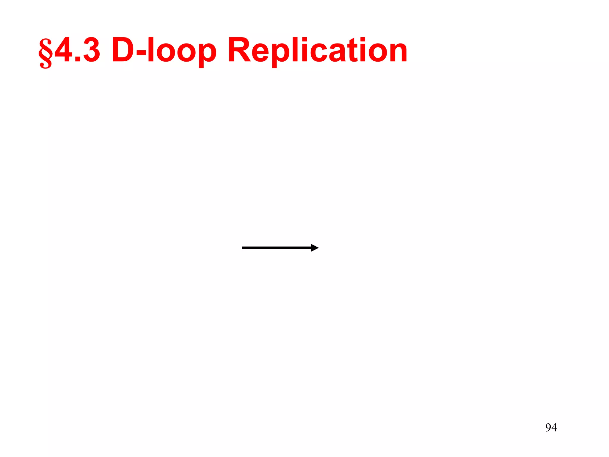 §4.3 D-loop Replication

94

 