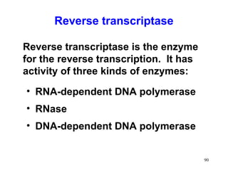 Transcriptasa Inversa DNA Replication in eukaryotes and prokaryotes | PPT