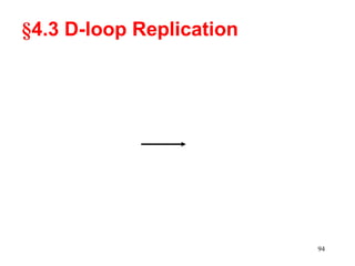 DNA Replication in eukaryotes and prokaryotes | PPT