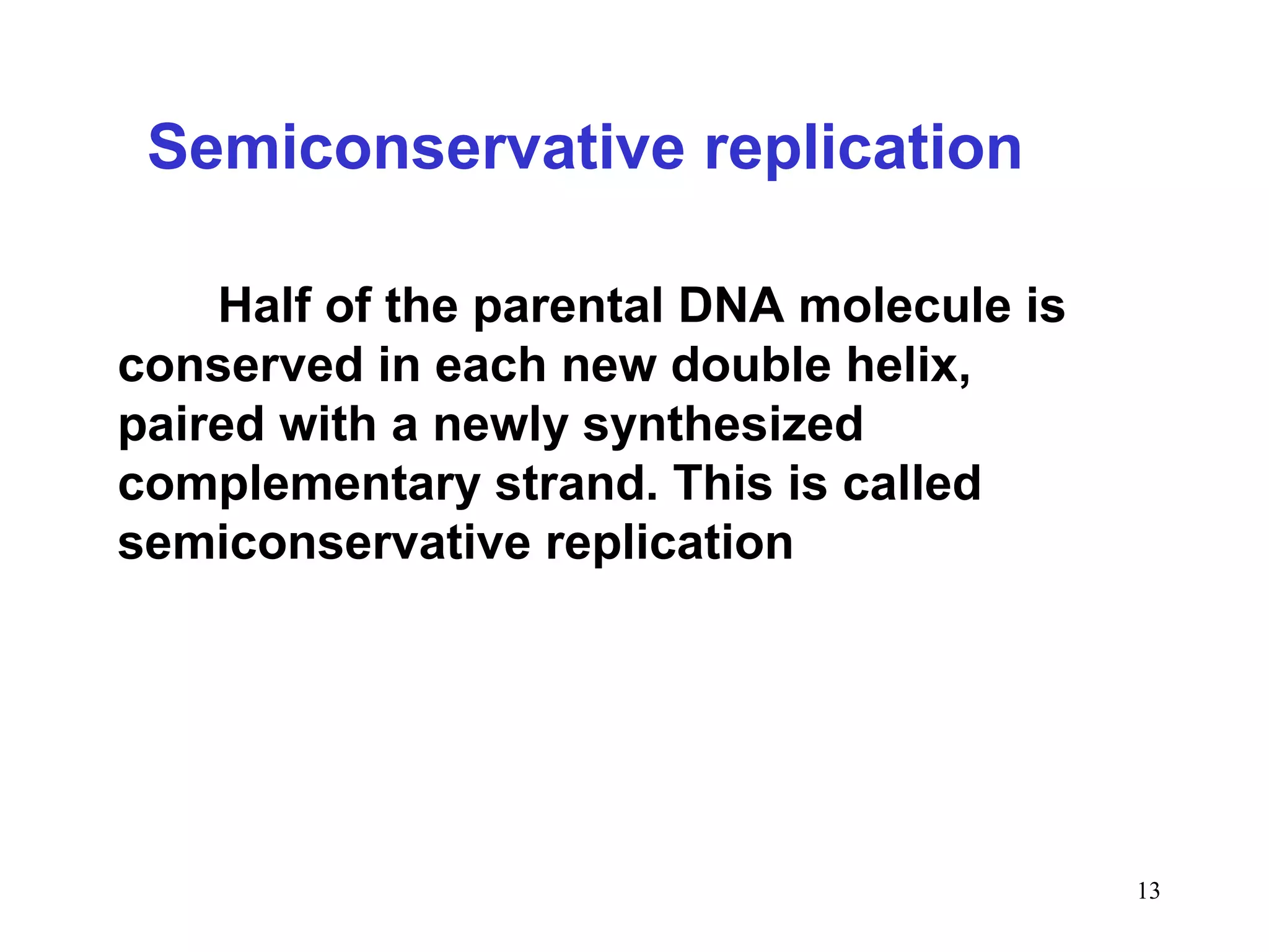 Semiconservative replication
Half of the parental DNA molecule is
conserved in each new double helix,
paired with a newly synthesized
complementary strand. This is called
semiconservative replication
13
 