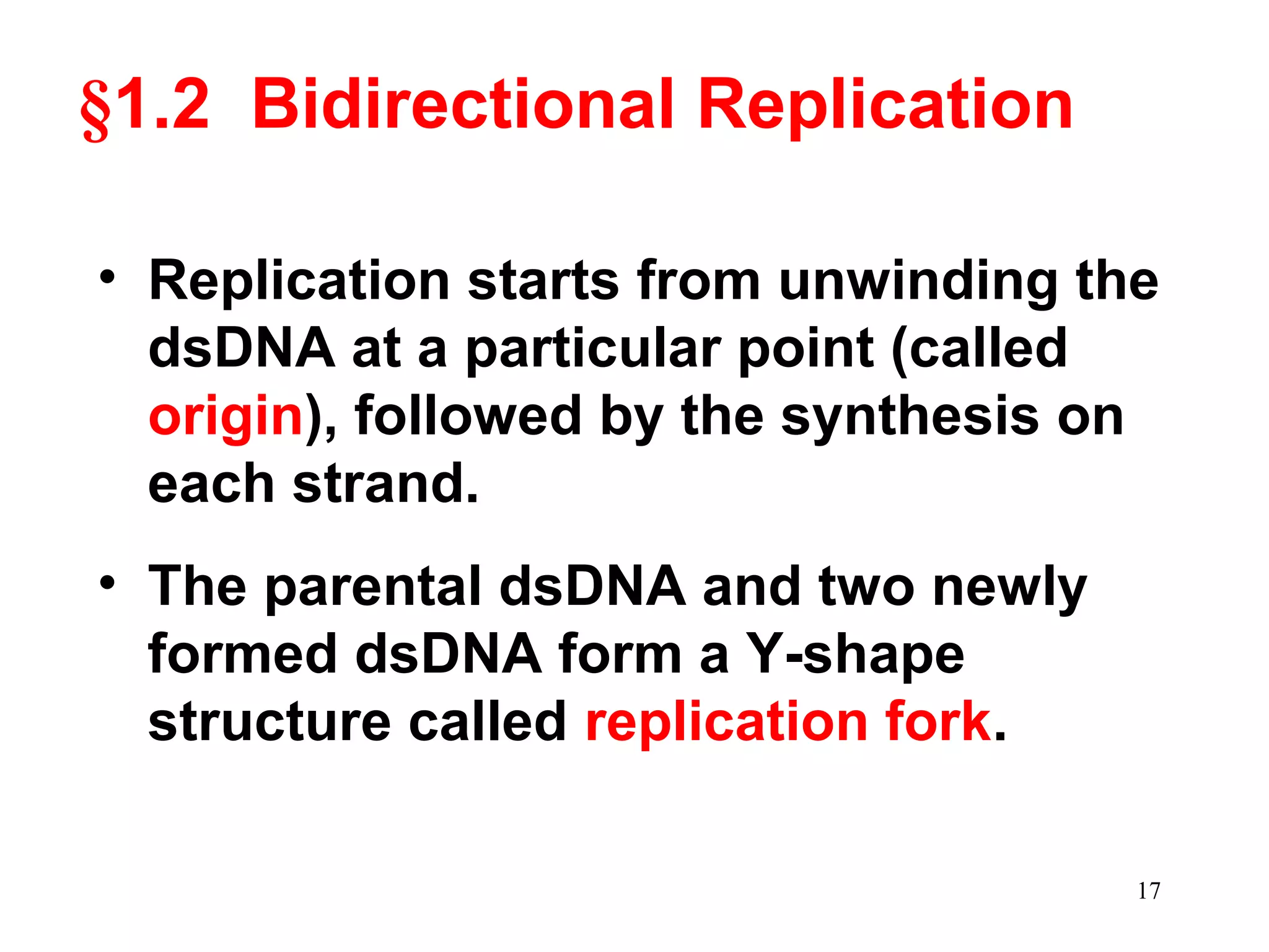 §1.2 Bidirectional Replication
• Replication starts from unwinding the
dsDNA at a particular point (called
origin), followed by the synthesis on
each strand.
• The parental dsDNA and two newly
formed dsDNA form a Y-shape
structure called replication fork.
17
 