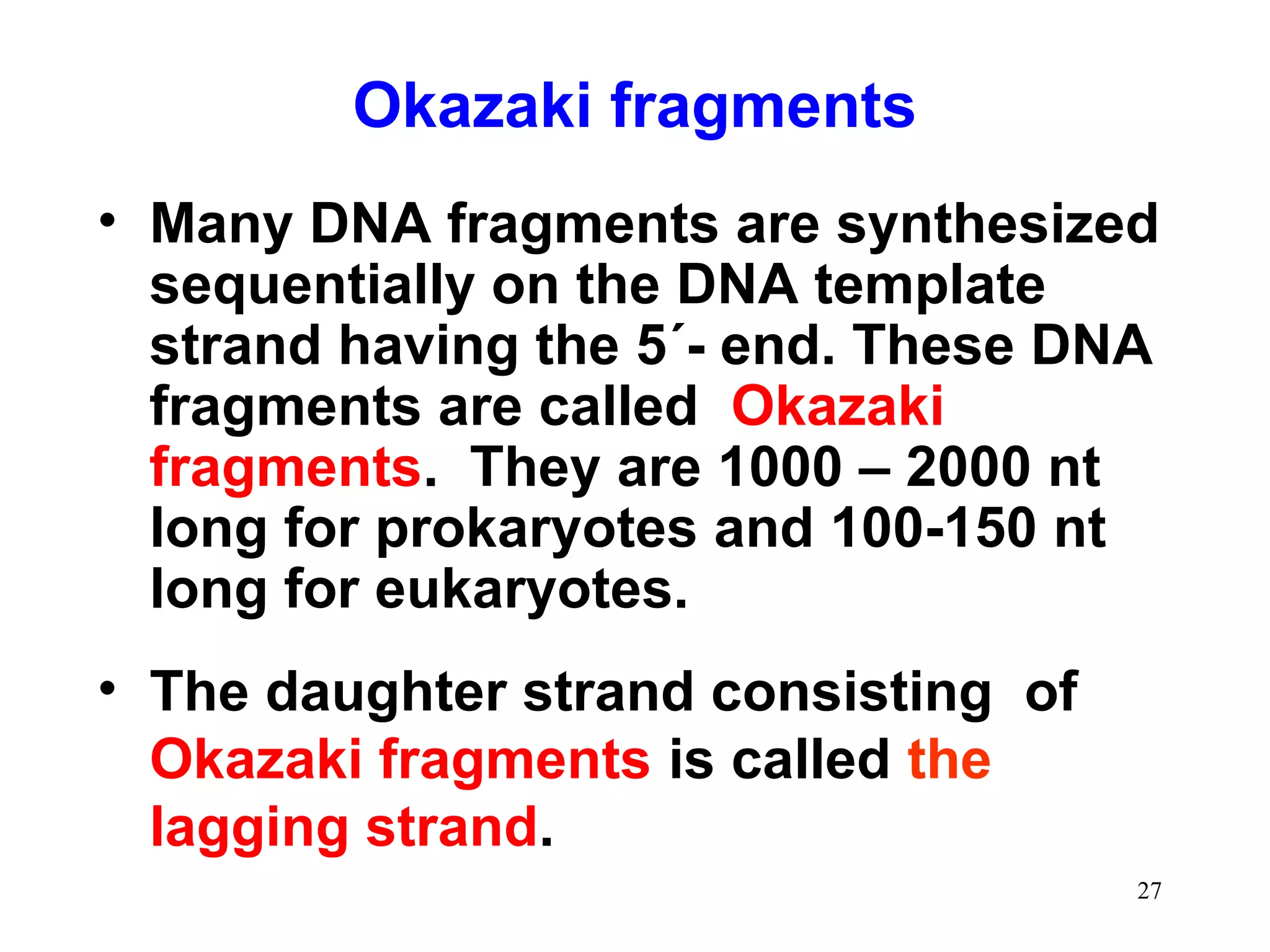 • Many DNA fragments are synthesized
sequentially on the DNA template
strand having the 5´- end. These DNA
fragments are called Okazaki
fragments. They are 1000 – 2000 nt
long for prokaryotes and 100-150 nt
long for eukaryotes.
• The daughter strand consisting of
Okazaki fragments is called the
lagging strand.
Okazaki fragments
27
 