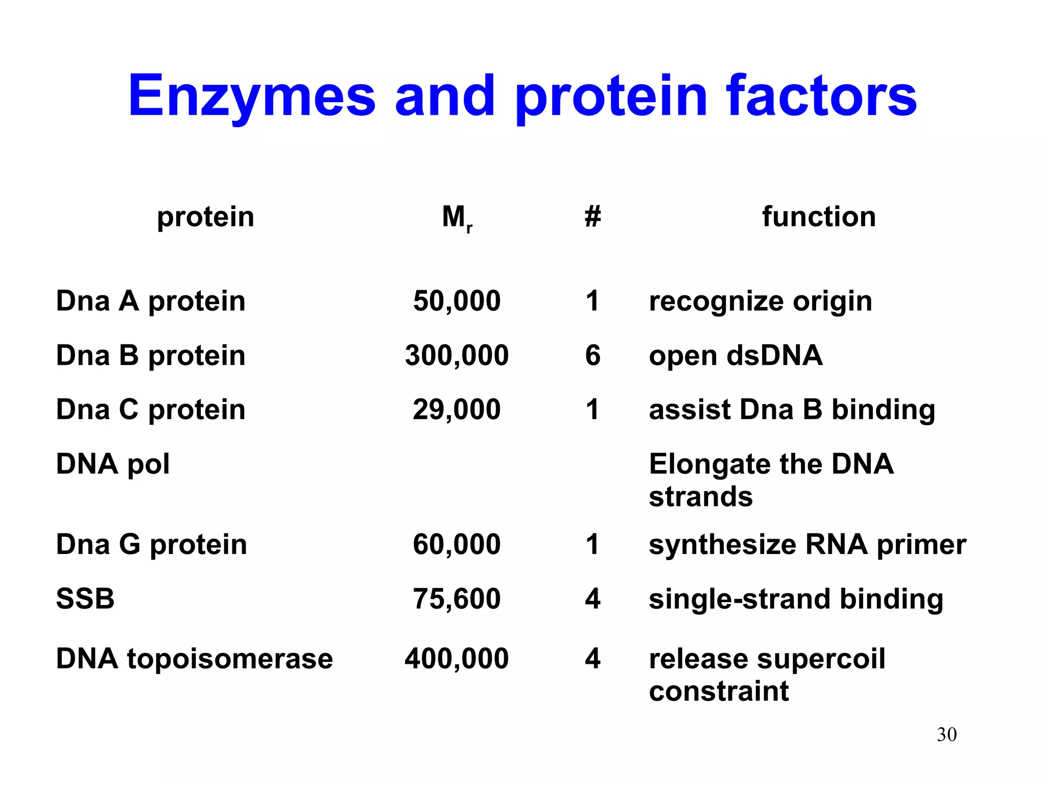 Enzymes and protein factors
protein Mr # function
Dna A protein 50,000 1 recognize origin
Dna B protein 300,000 6 open dsDNA
Dna C protein 29,000 1 assist Dna B binding
DNA pol Elongate the DNA
strands
Dna G protein 60,000 1 synthesize RNA primer
SSB 75,600 4 single-strand binding
DNA topoisomerase 400,000 4 release supercoil
constraint
30
 