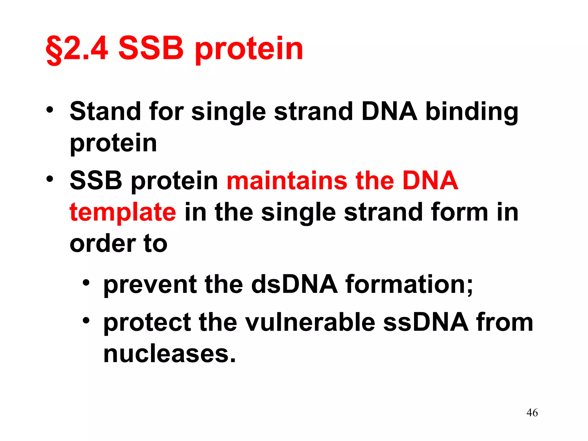 §2.4 SSB protein
• Stand for single strand DNA binding
protein
• SSB protein maintains the DNA
template in the single strand form in
order to
• prevent the dsDNA formation;
• protect the vulnerable ssDNA from
nucleases.
46
 