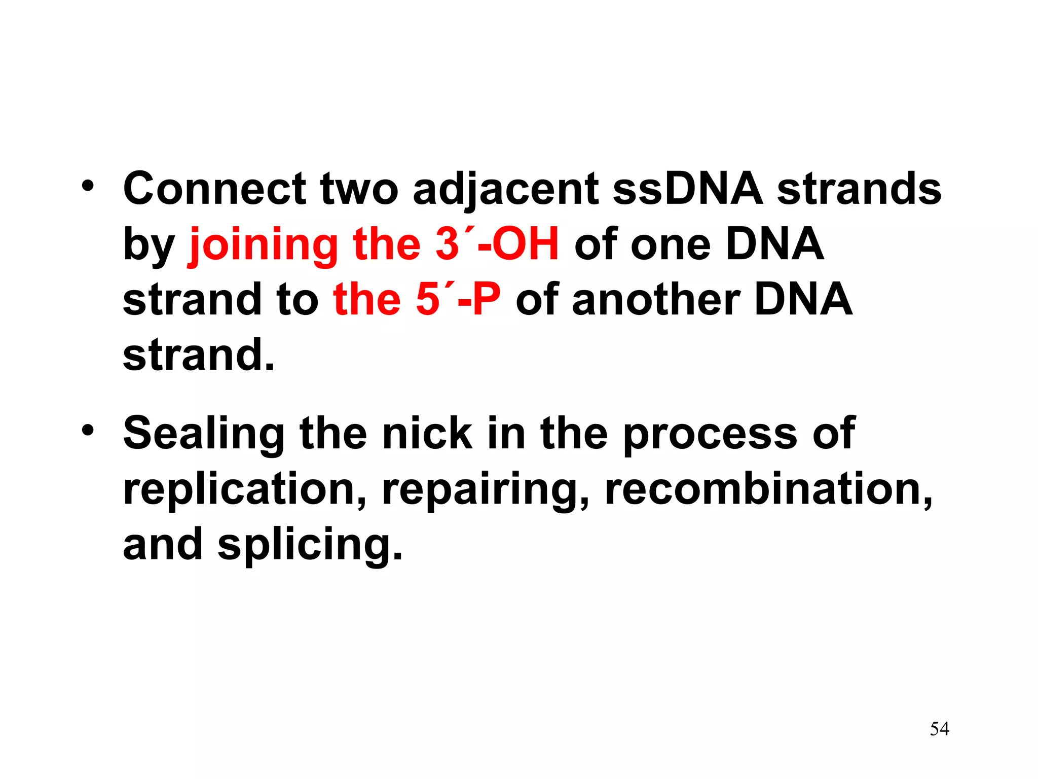 • Connect two adjacent ssDNA strands
by joining the 3´-OH of one DNA
strand to the 5´-P of another DNA
strand.
• Sealing the nick in the process of
replication, repairing, recombination,
and splicing.
54
 