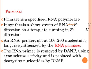 PRIMASE:
Primase is a specilised RNA polymerase
It synthesis a short strech of RNA in 5’ 3’
direction on a template running in 3’ 5’
direction.
An RNA primer, about 100-200 nucleotides
long, is synthesized by the RNA primase.
The RNA primer is removed by DANP, using
exonuclease activity and is replaced with
deoxyribo nucleotides by DNAP
 