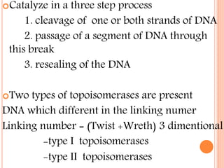 Catalyze in a three step process
1. cleavage of one or both strands of DNA
2. passage of a segment of DNA through
this break
3. resealing of the DNA
Two types of topoisomerases are present
DNA which different in the linking numer
Linking number = (Twist +Wreth) 3 dimentional
-type I topoisomerases
-type II topoisomerases
 