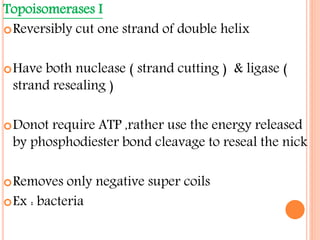 Topoisomerases I
Reversibly cut one strand of double helix
Have both nuclease ( strand cutting ) & ligase (
strand resealing )
Donot require ATP ,rather use the energy released
by phosphodiester bond cleavage to reseal the nick
Removes only negative super coils
Ex : bacteria
 